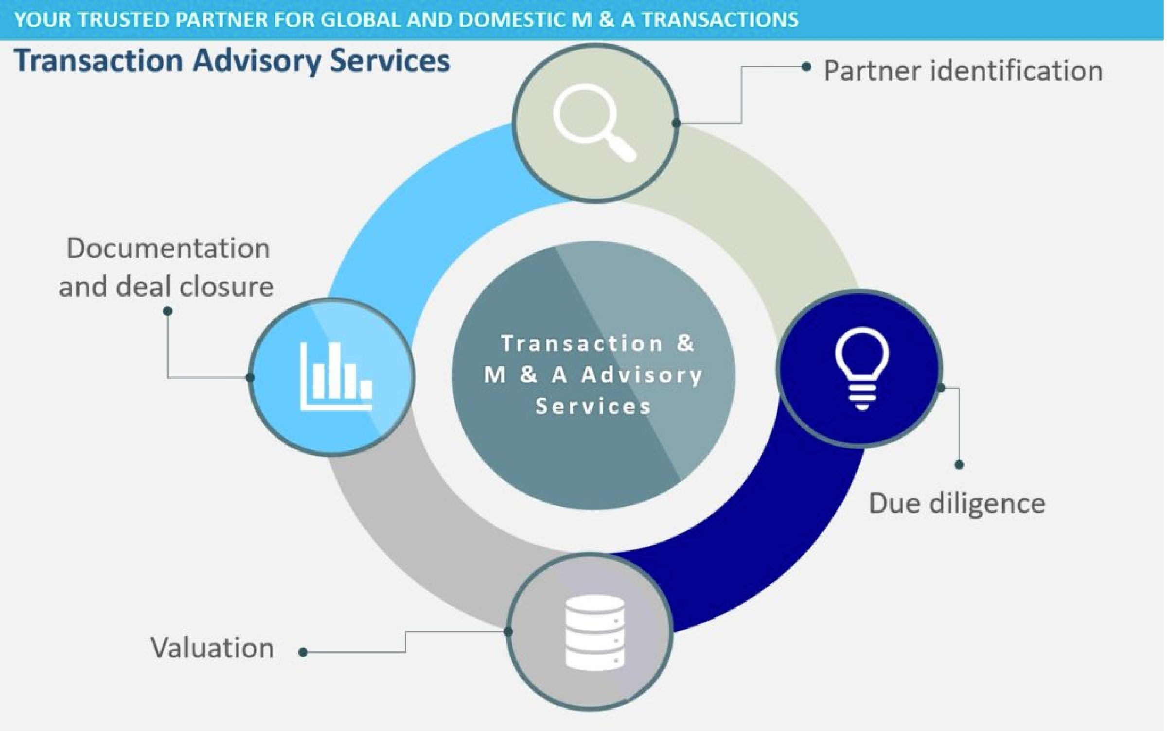 Transaction Advisory Service